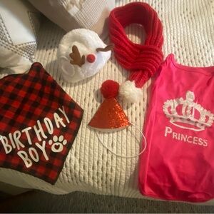 Small Pet Accessory Set